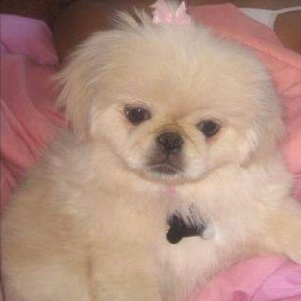 Meet your Posher, Crystal